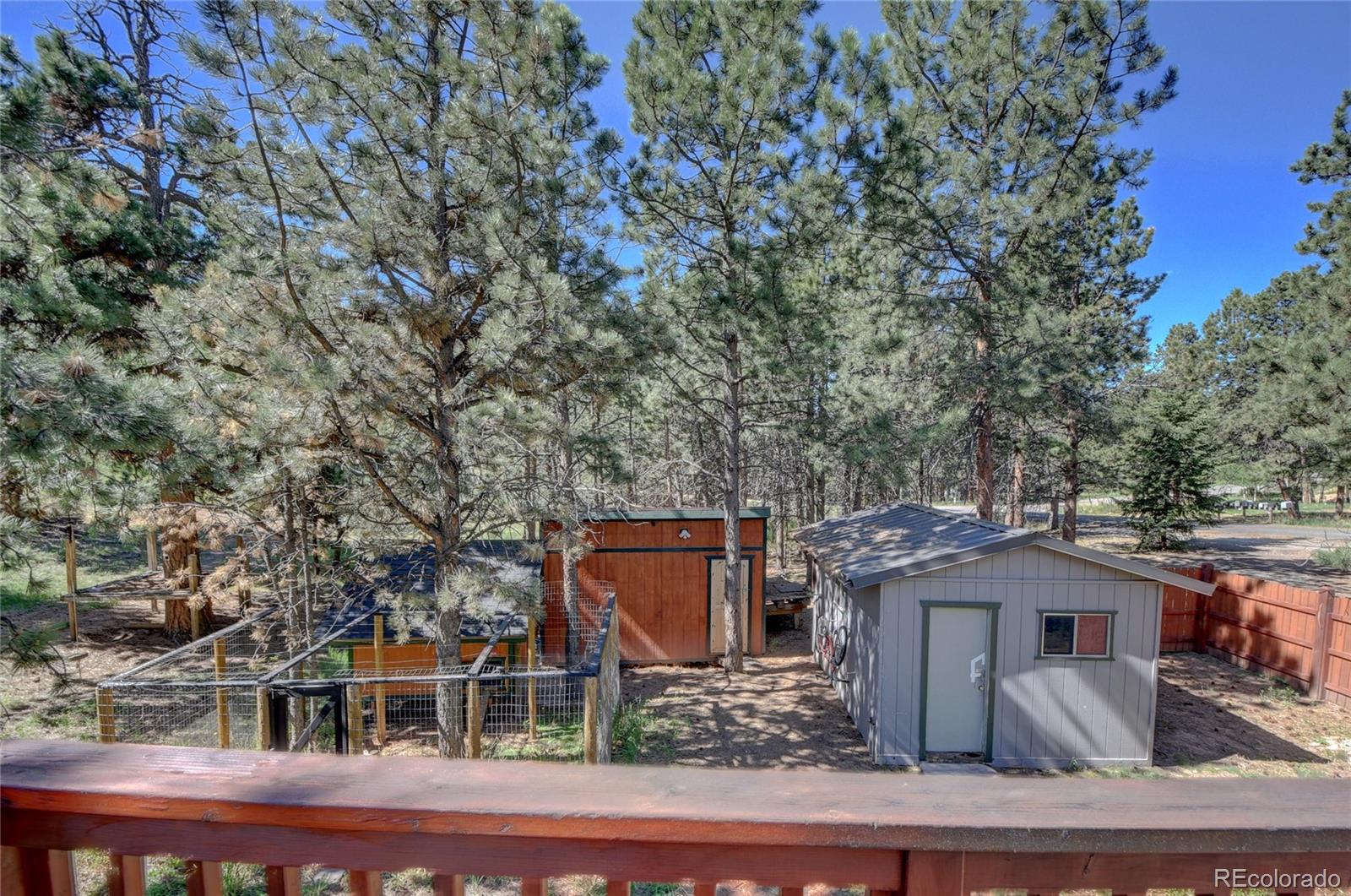 MLS Image #5 for 13284 s cheyenne court,pine, Colorado
