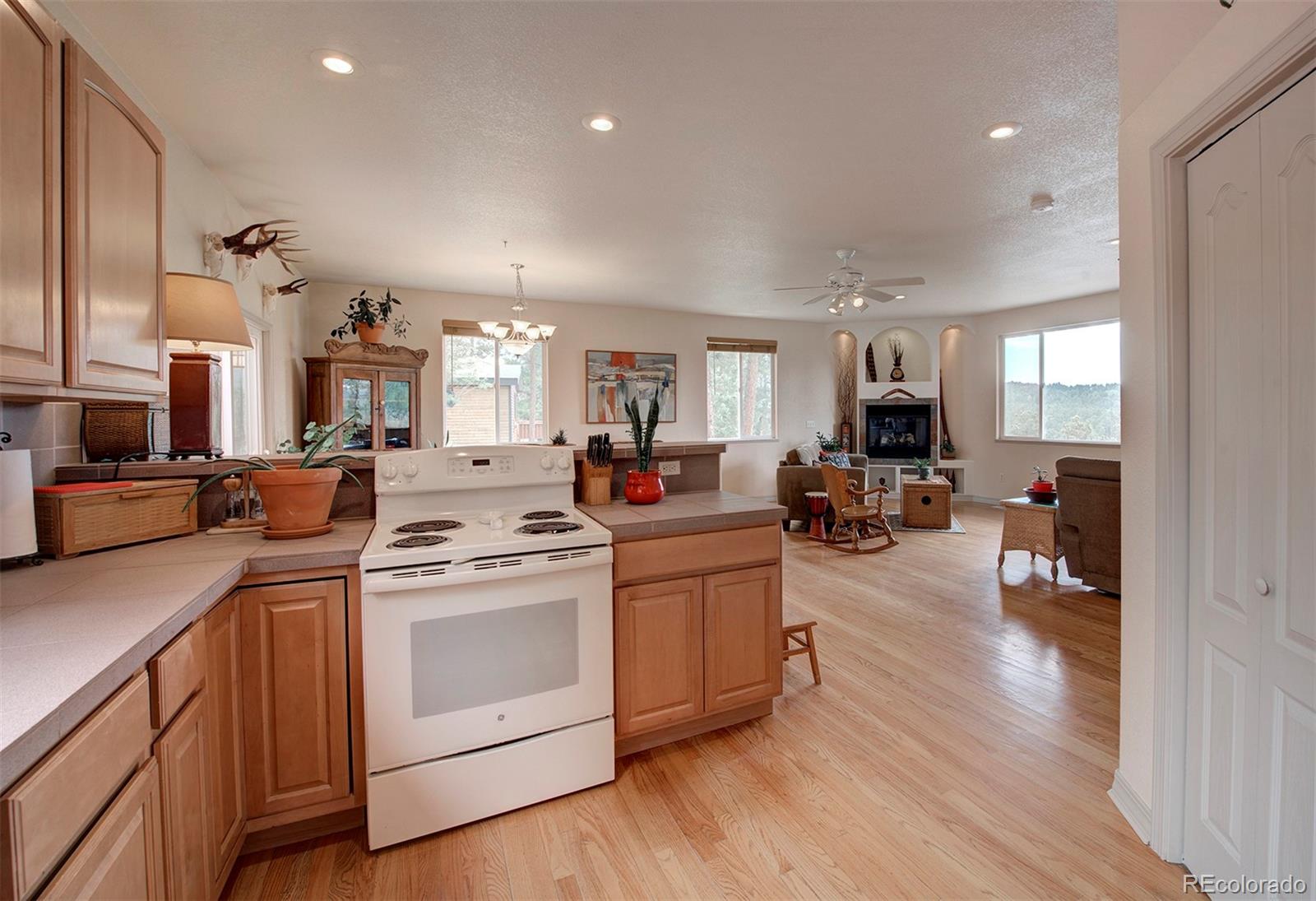 MLS Image #19 for 30080  fir drive,evergreen, Colorado