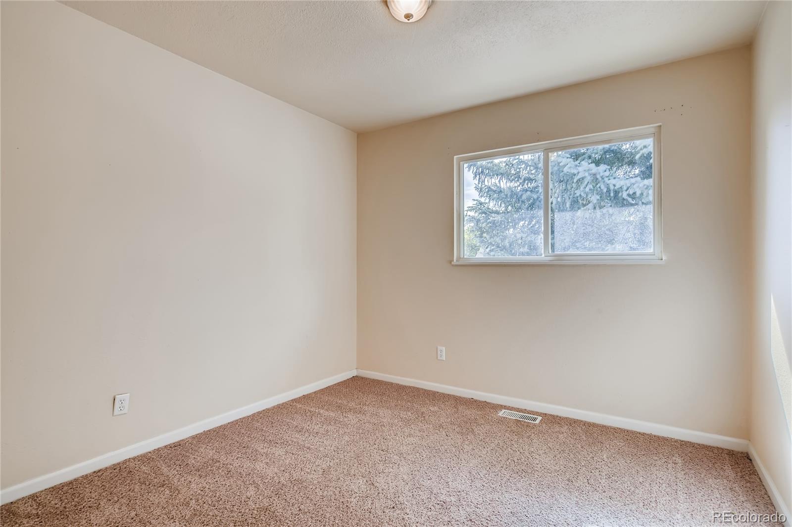 MLS Image #7 for 4115  channing place,colorado springs, Colorado