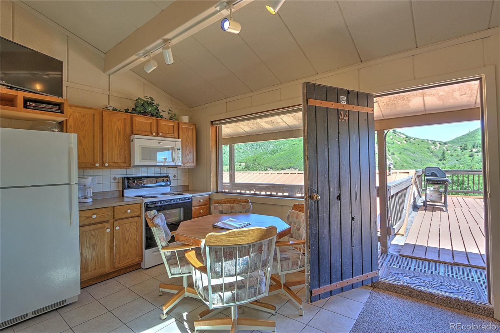 MLS Image #0 for 11101  county road 117 ,glenwood springs, Colorado