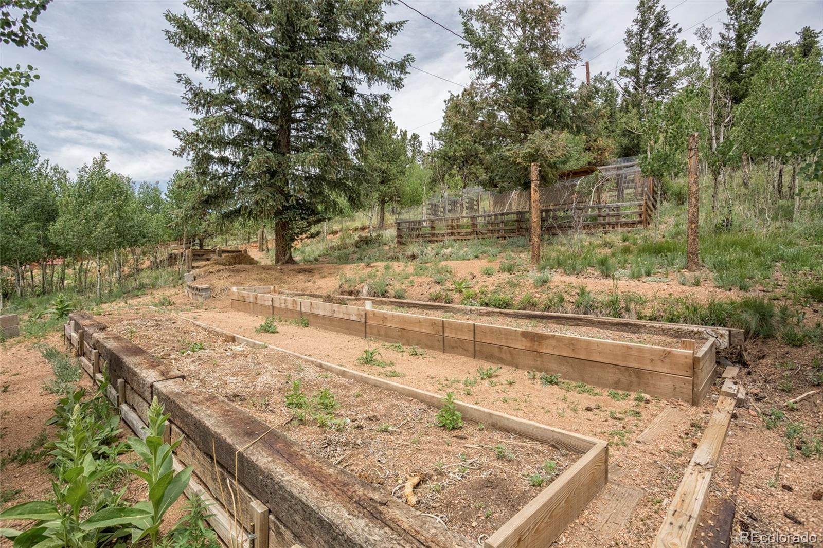 MLS Image #35 for 35  forest drive,bailey, Colorado