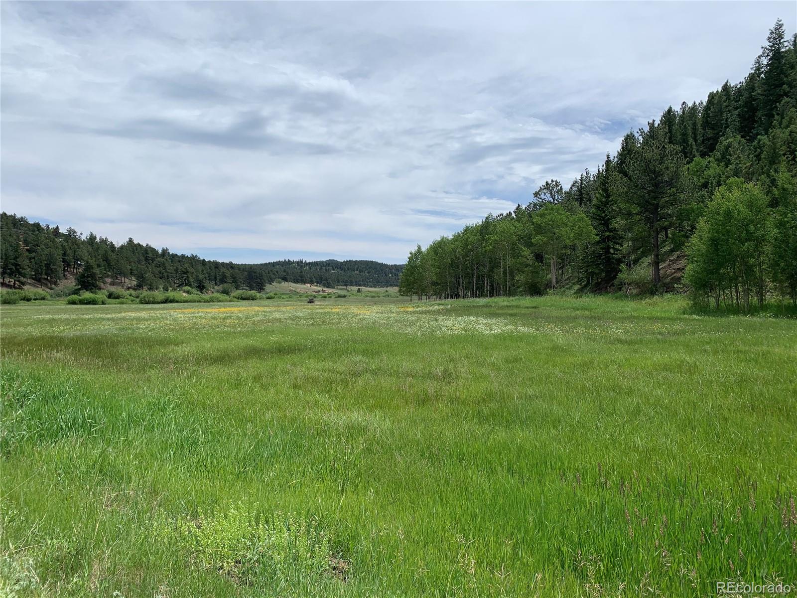 MLS Image #39 for 35  forest drive,bailey, Colorado