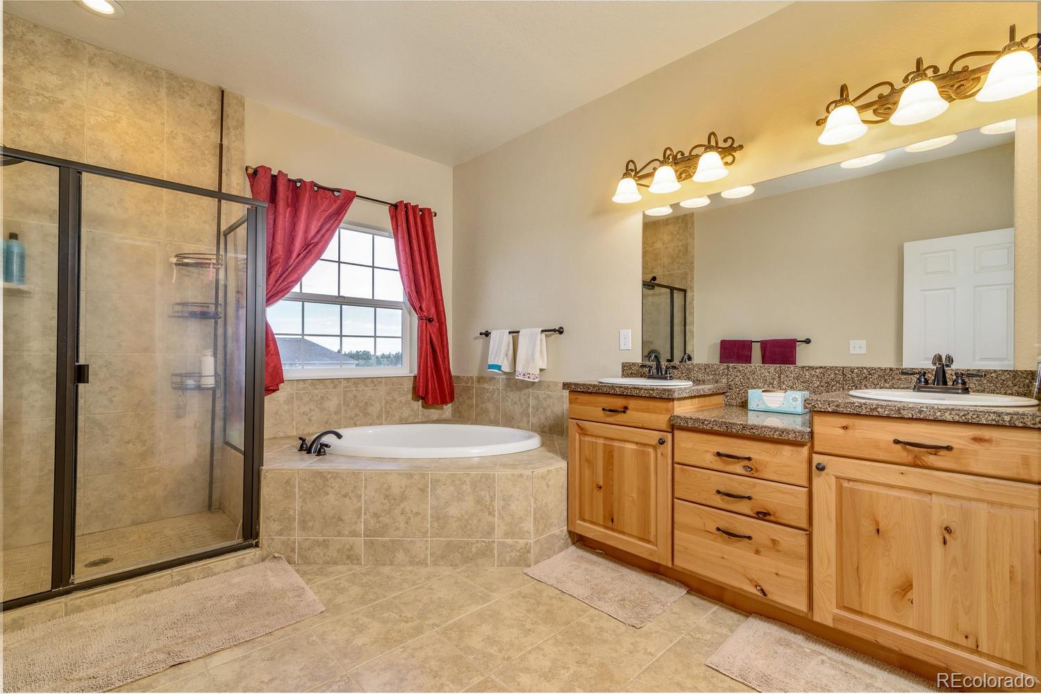 MLS Image #13 for 41183  round hill circle,parker, Colorado