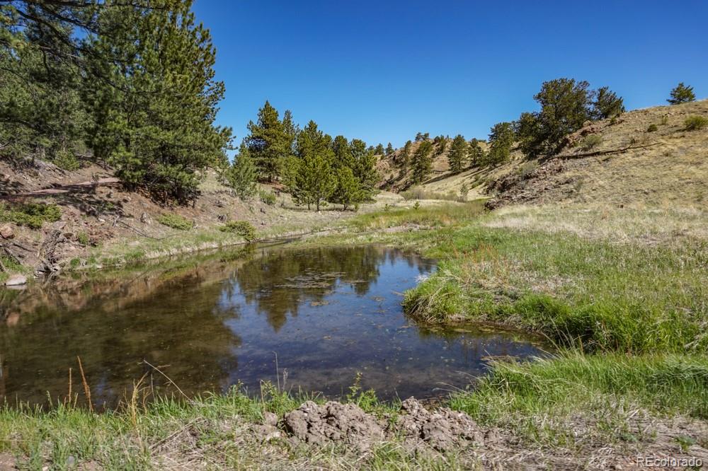 MLS Image #12 for 6511  highway 9 ,guffey, Colorado