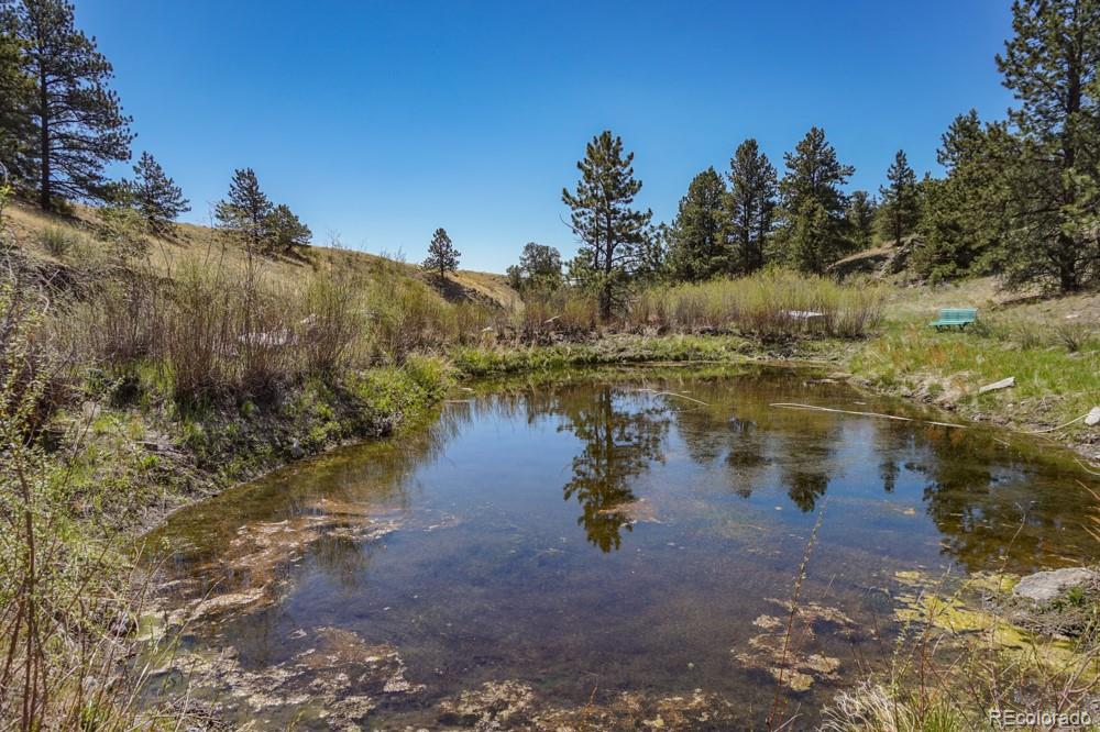 MLS Image #17 for 6511  highway 9 ,guffey, Colorado