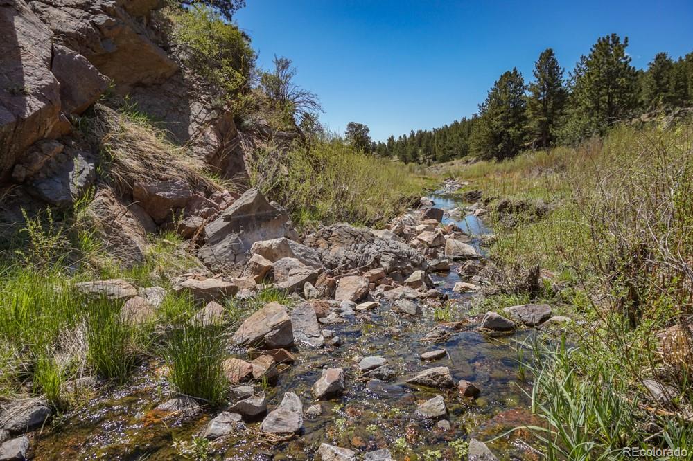 MLS Image #18 for 6511  highway 9 ,guffey, Colorado