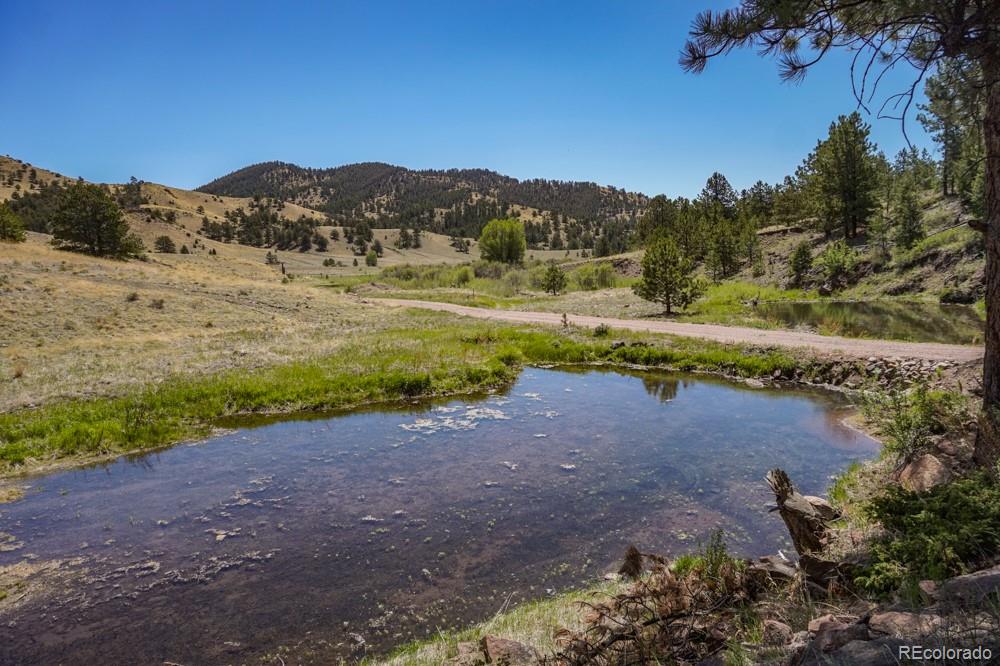 MLS Image #19 for 6511  highway 9 ,guffey, Colorado