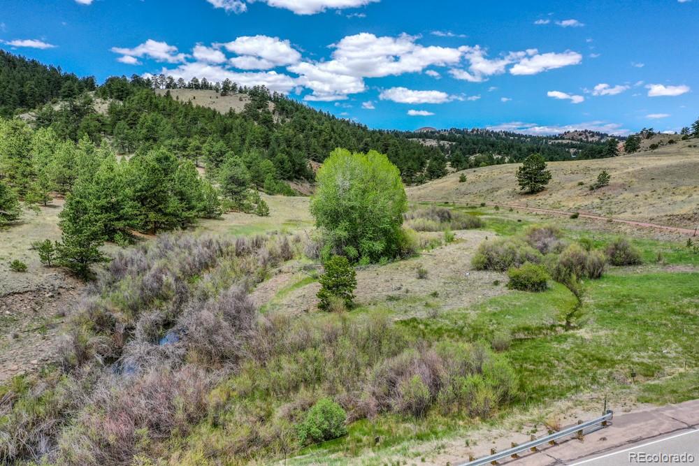 MLS Image #22 for 6511  highway 9 ,guffey, Colorado