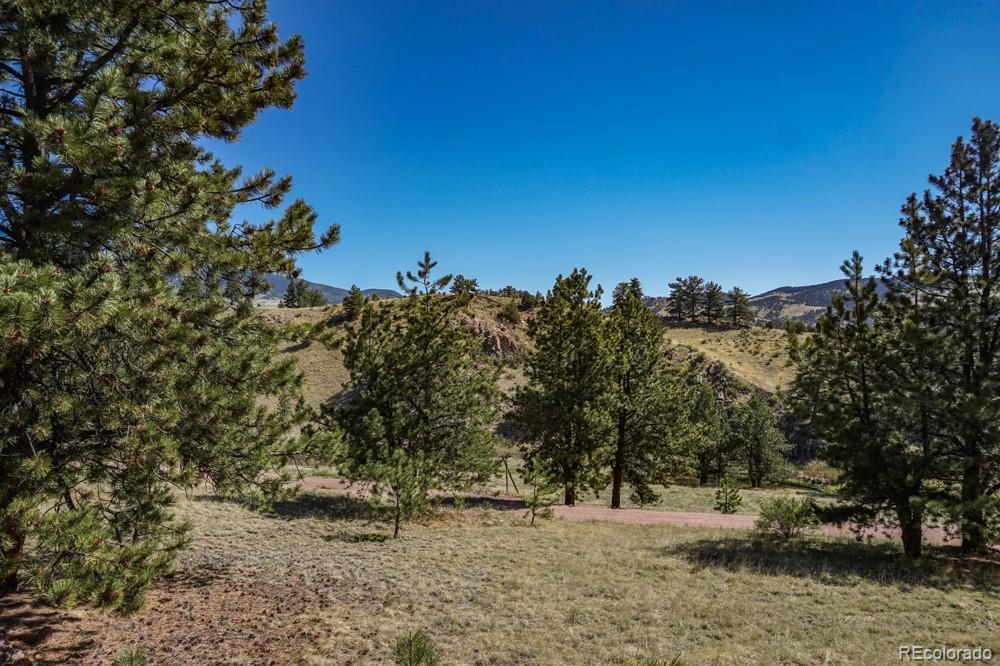 MLS Image #24 for 6511  highway 9 ,guffey, Colorado