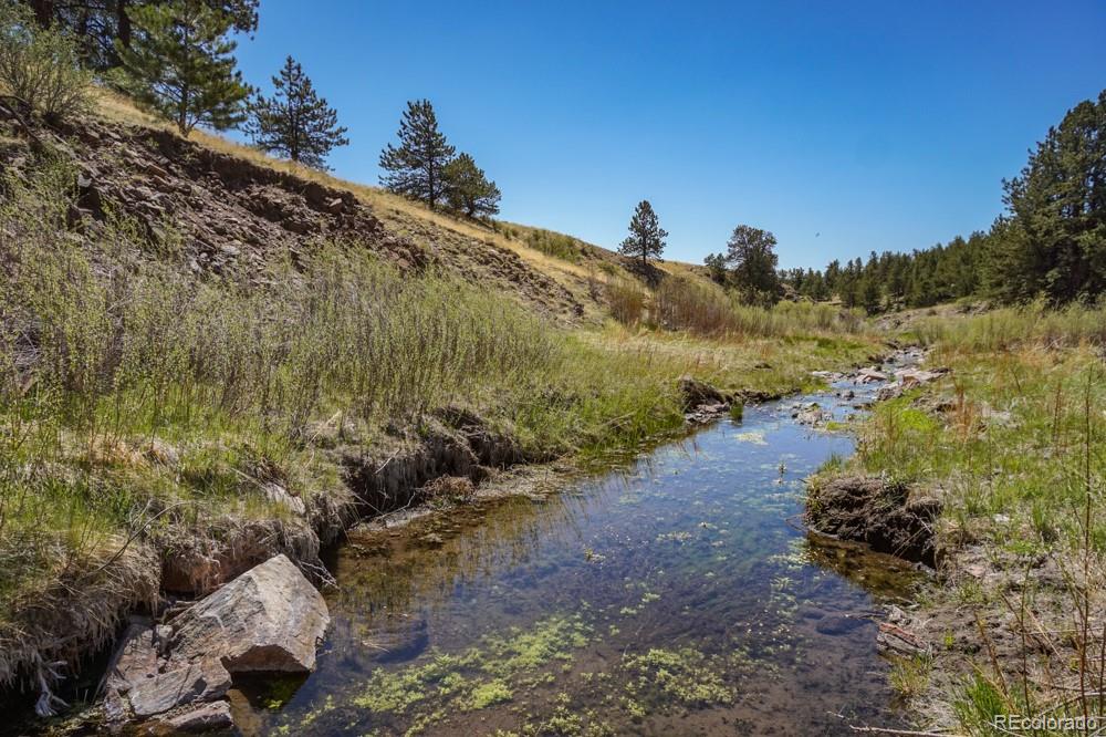 MLS Image #31 for 6511  highway 9 ,guffey, Colorado