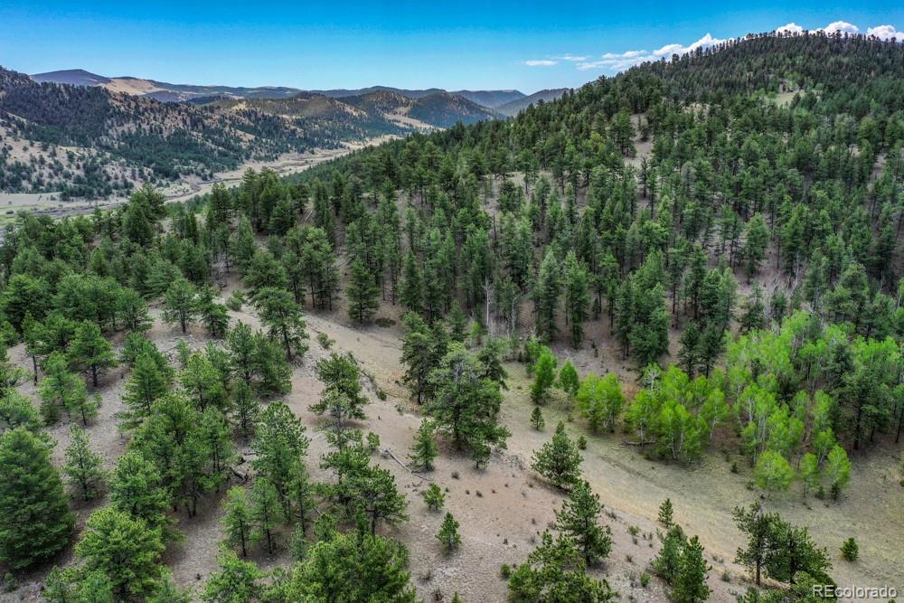 MLS Image #9 for 6511  highway 9 ,guffey, Colorado