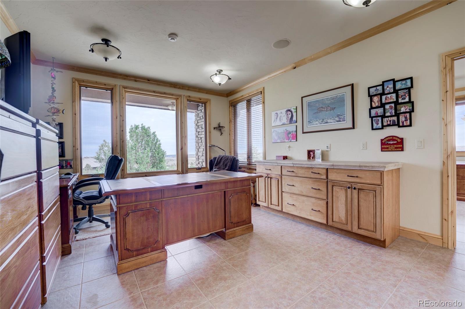 MLS Image #13 for 4954  carefree trail,parker, Colorado