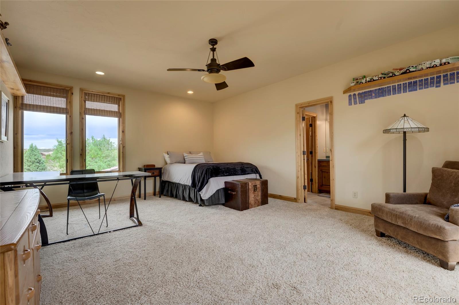 MLS Image #22 for 4954  carefree trail,parker, Colorado