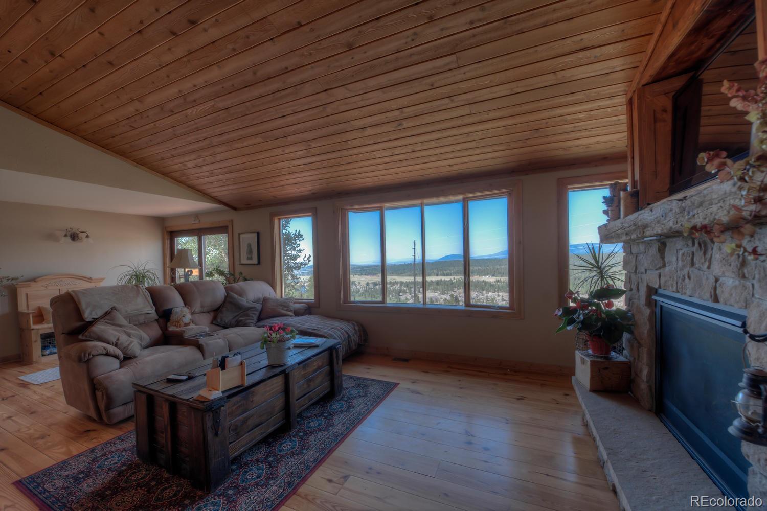 MLS Image #14 for 221  platte view drive,fairplay, Colorado