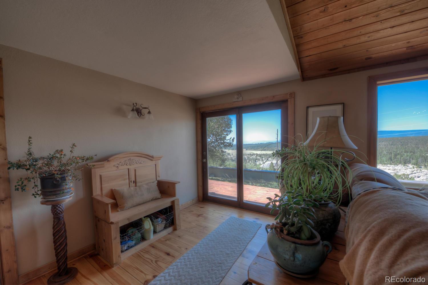 MLS Image #21 for 221  platte view drive,fairplay, Colorado