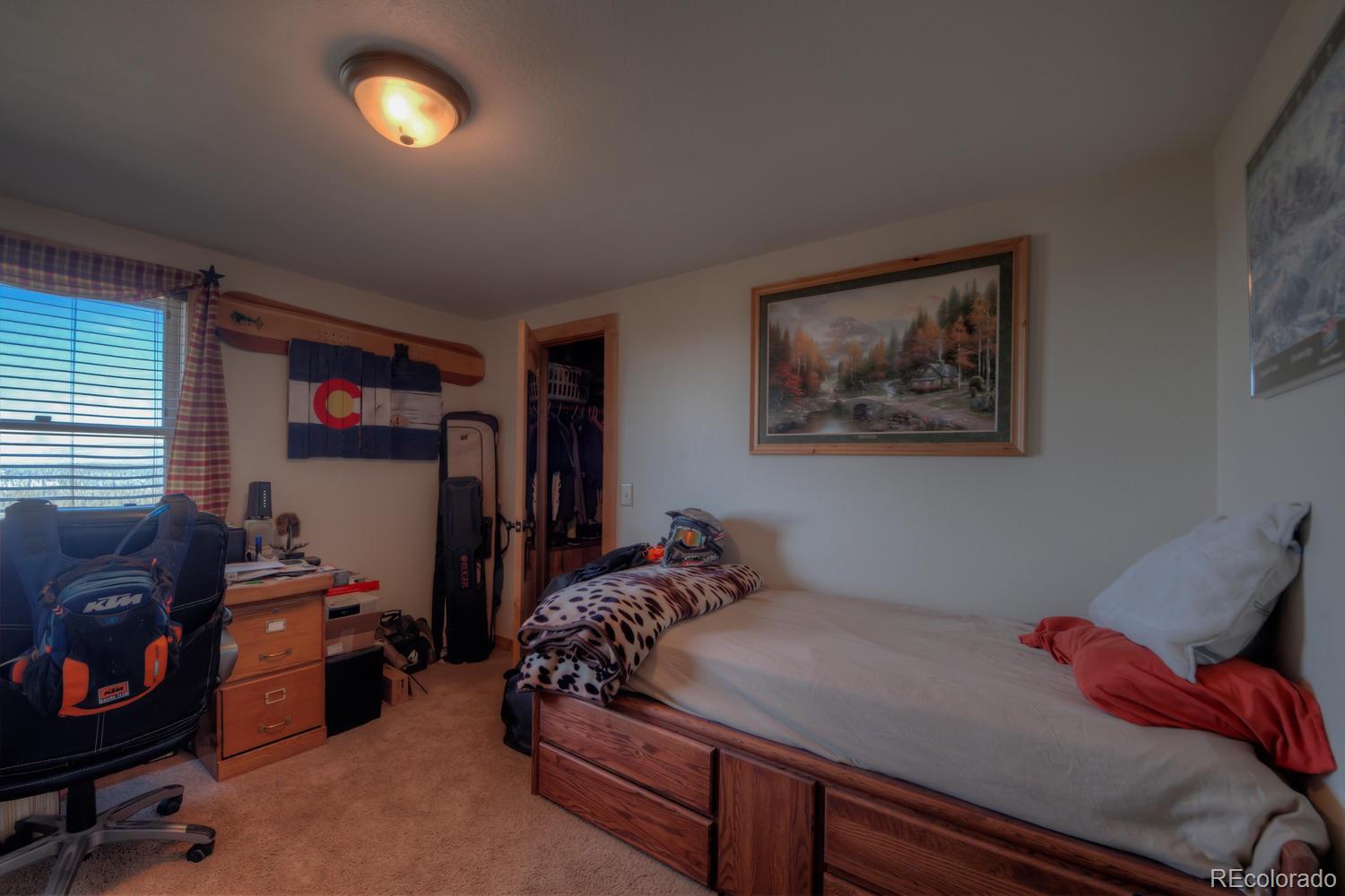 MLS Image #33 for 221  platte view drive,fairplay, Colorado