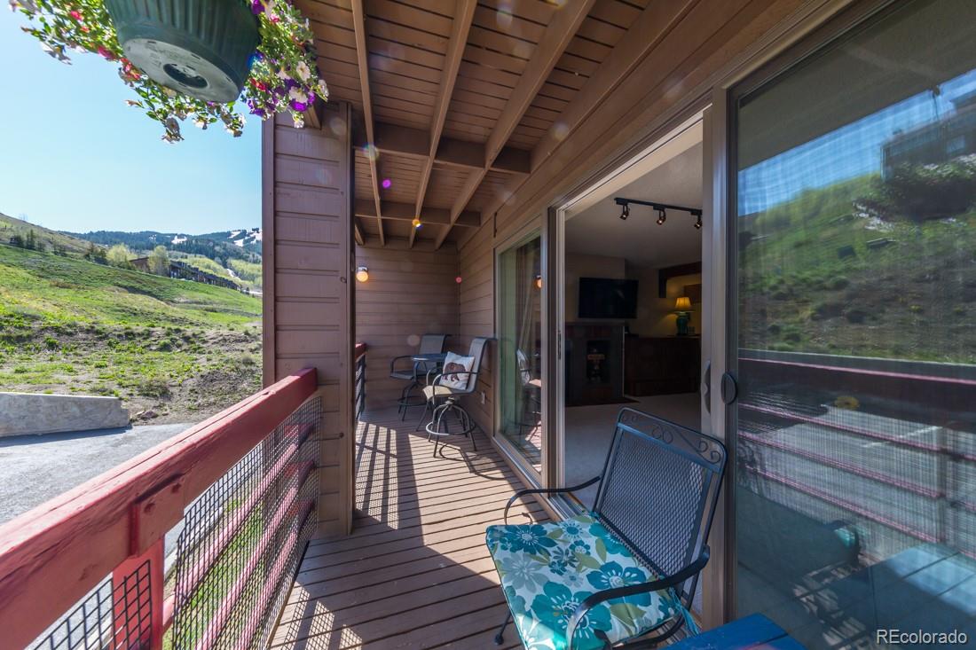 MLS Image #11 for 25  emmons road,mt crested butte, Colorado