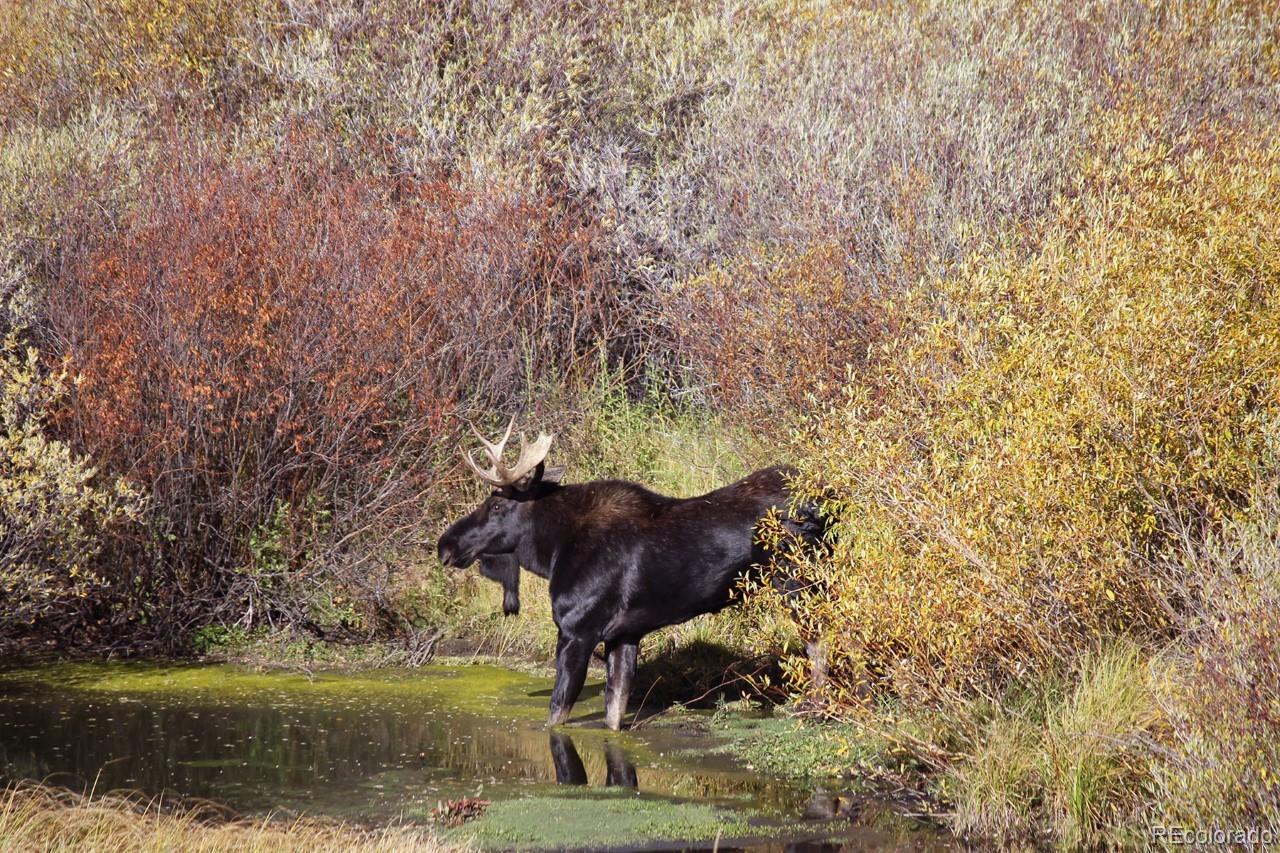 MLS Image #27 for 67228  us hwy 40 ,granby, Colorado