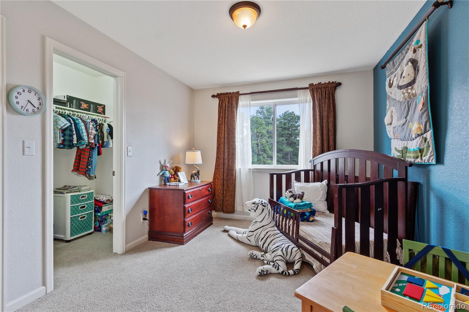 MLS Image #19 for 30023  hilltop drive,evergreen, Colorado