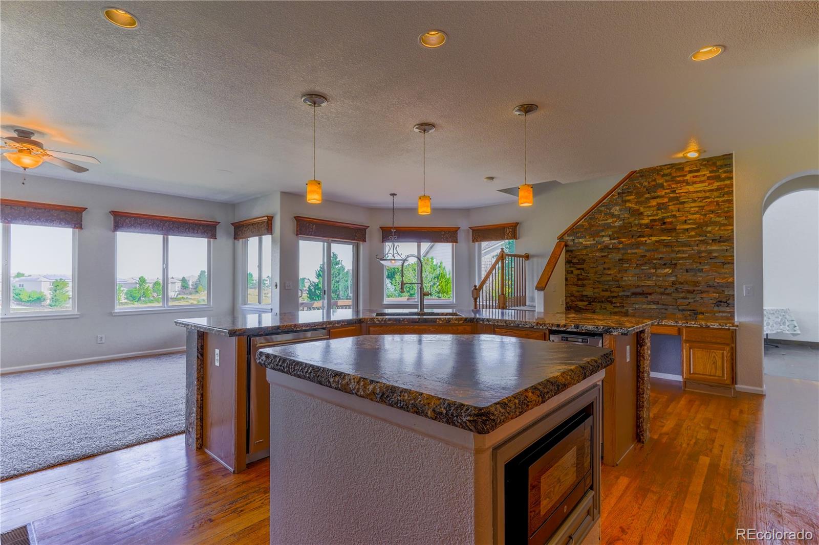 MLS Image #11 for 2753  timberchase trail,highlands ranch, Colorado