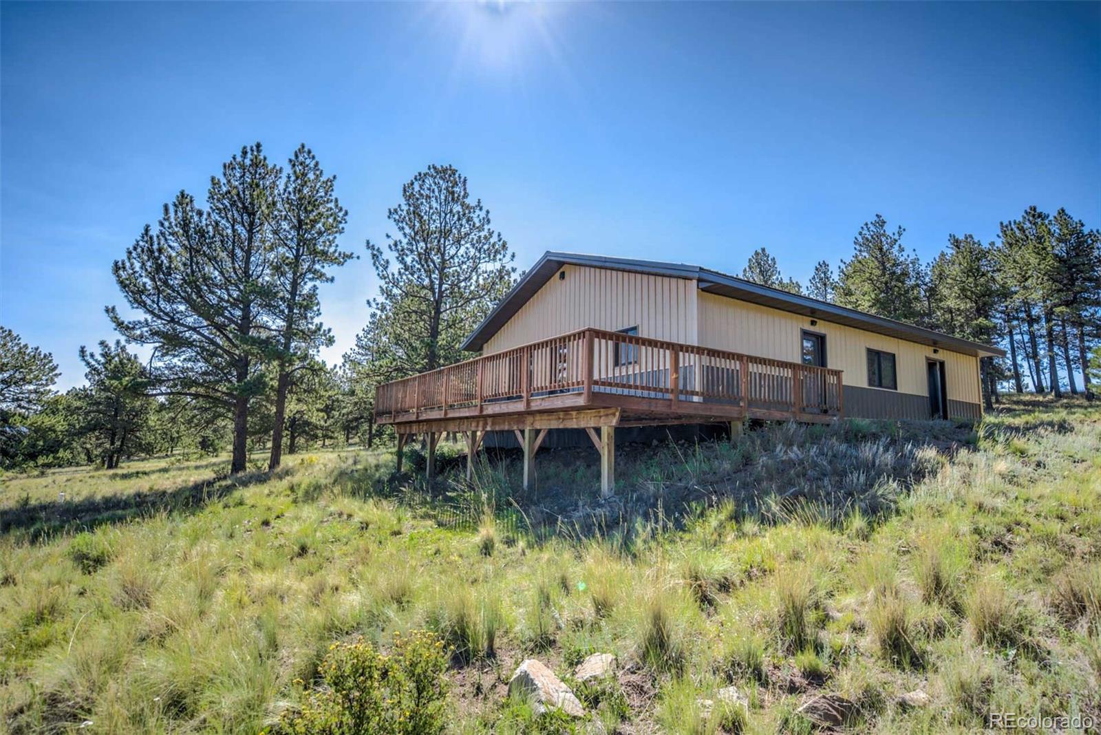 MLS Image #0 for 228  cottonwood way,guffey, Colorado