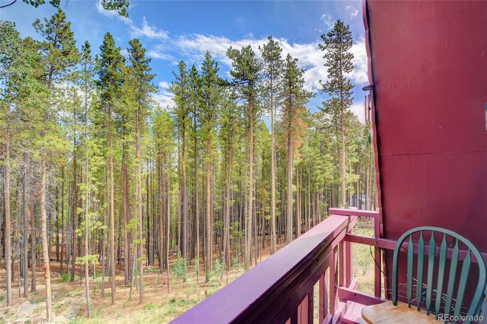 MLS Image #20 for 17  fawn trail,evergreen, Colorado