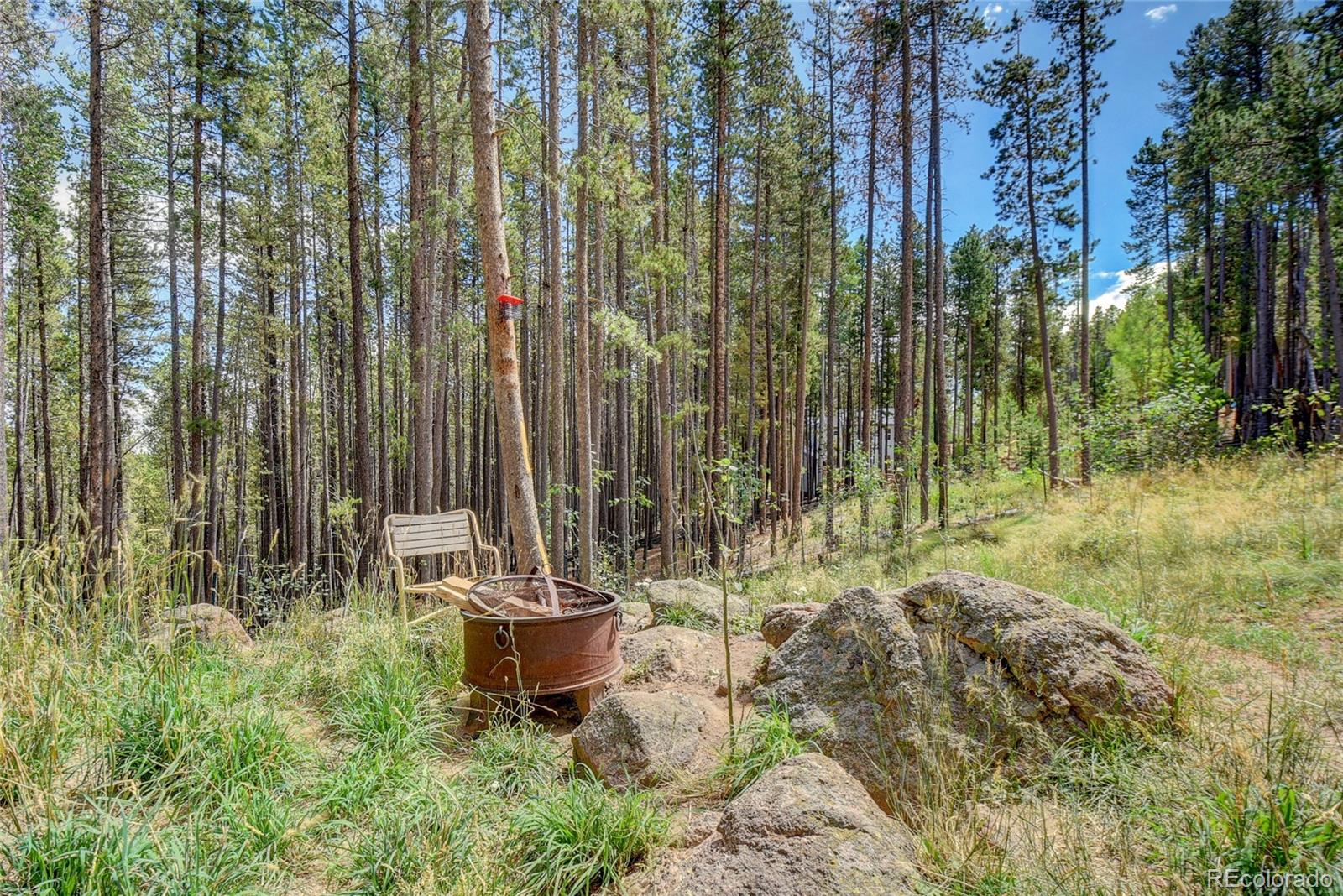 MLS Image #24 for 17  fawn trail,evergreen, Colorado