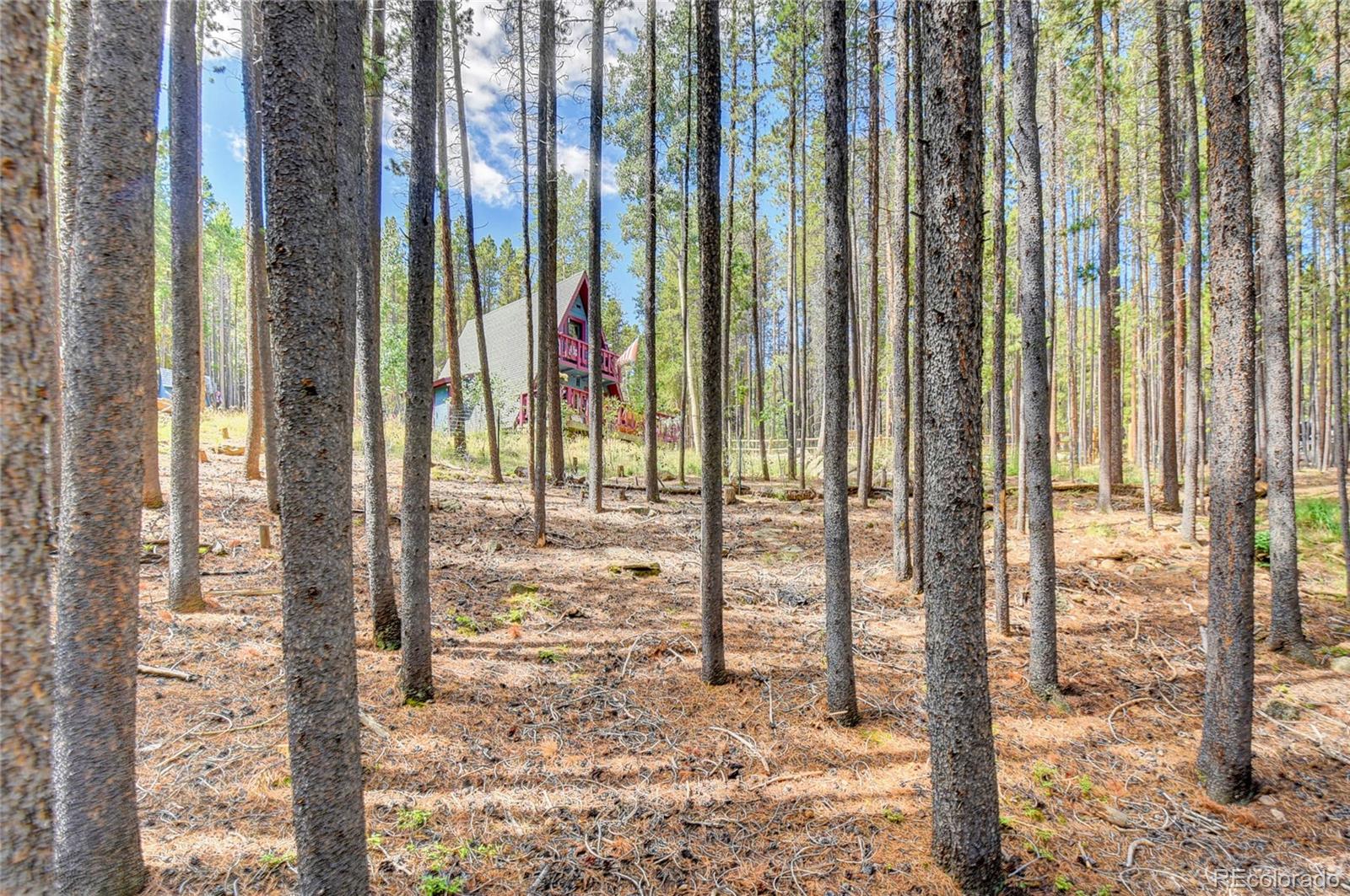 MLS Image #33 for 17  fawn trail,evergreen, Colorado