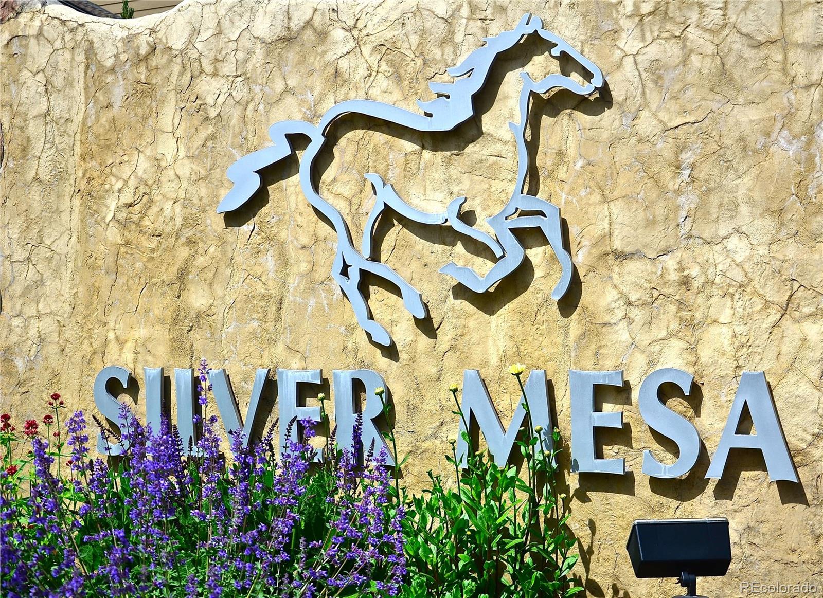 MLS Image #23 for 6466  silver mesa drive d,highlands ranch, Colorado