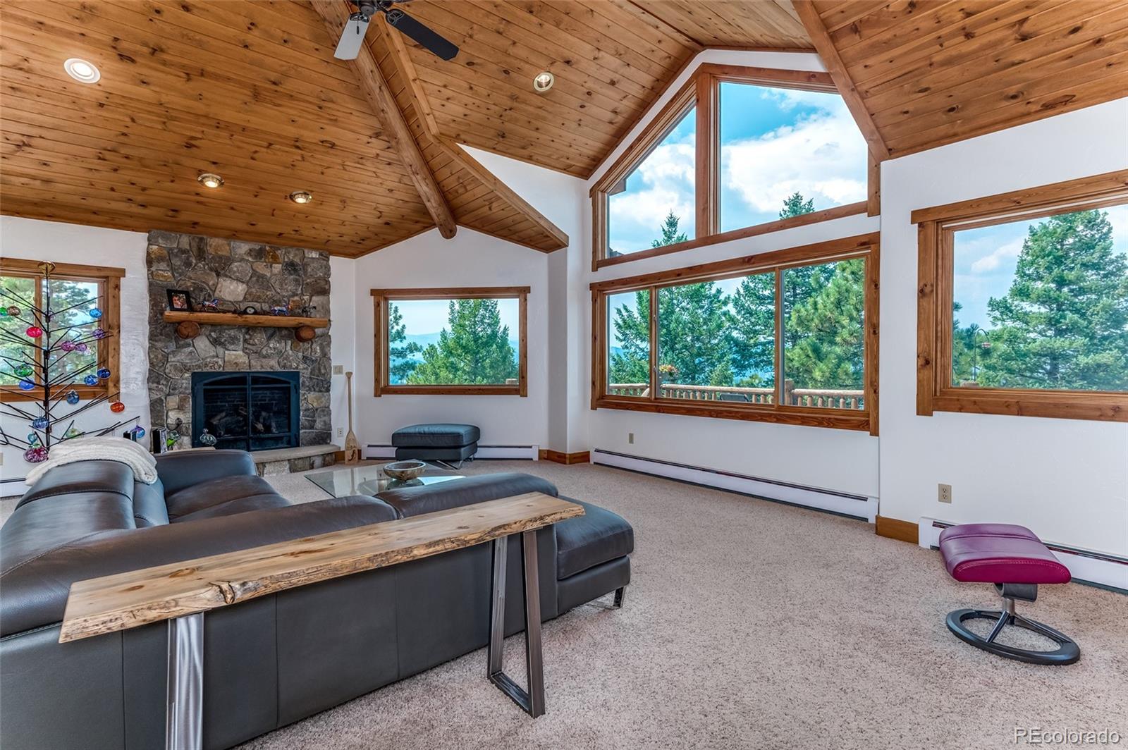 MLS Image #19 for 6288 s skyline drive,evergreen, Colorado