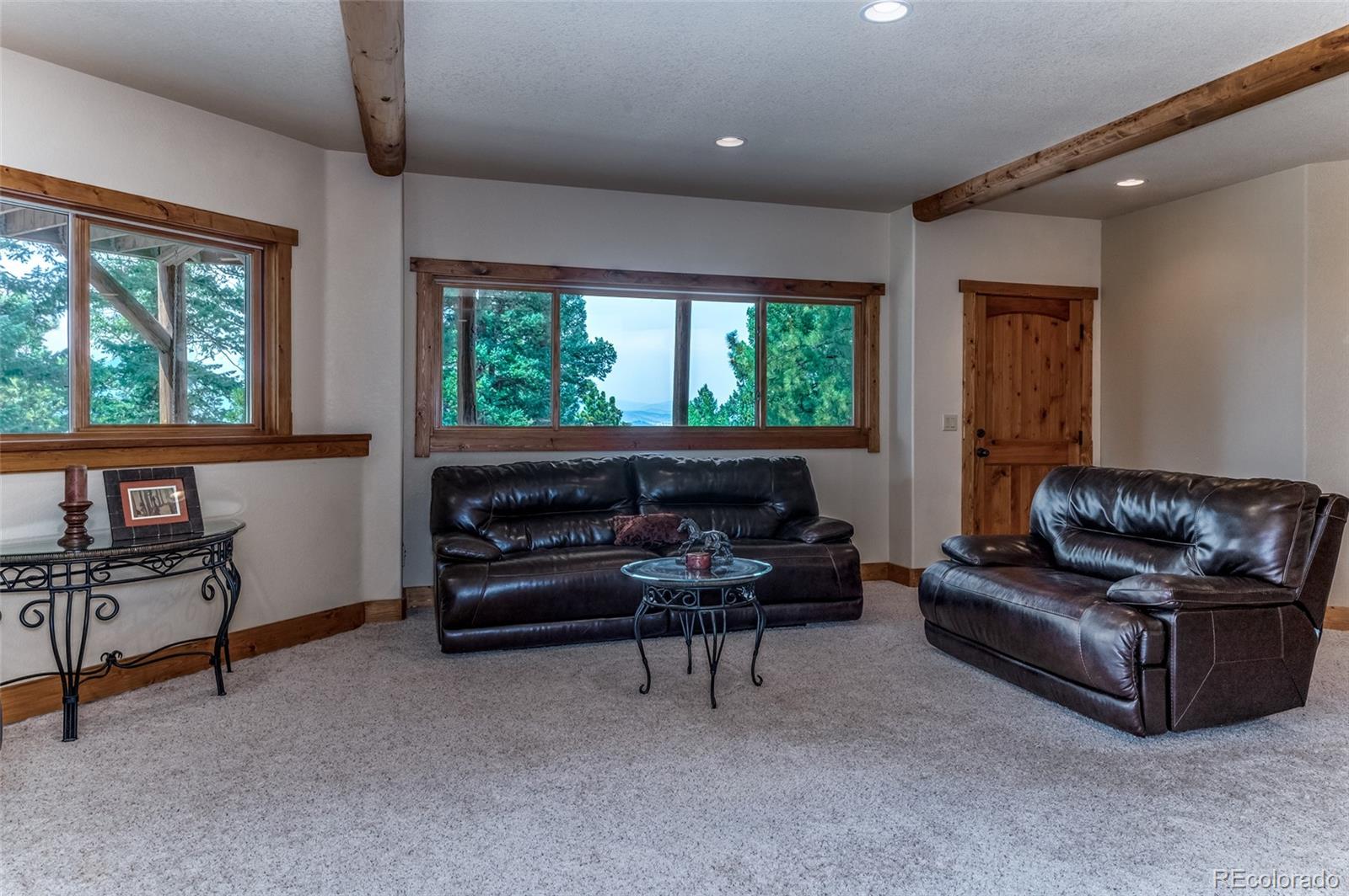 MLS Image #29 for 6288 s skyline drive,evergreen, Colorado