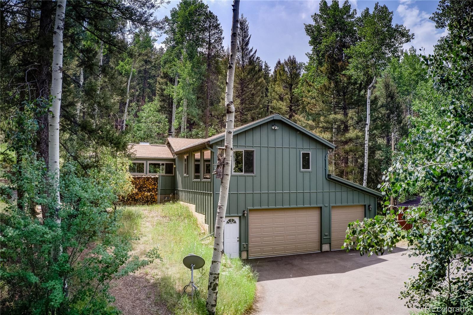 MLS Image #0 for 25927  rea avenue,conifer, Colorado