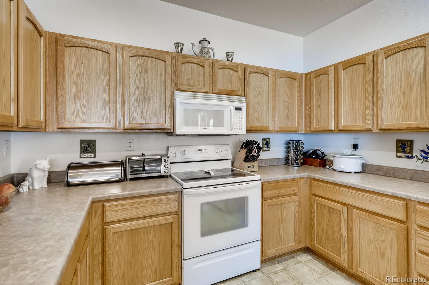 MLS Image #13 for 189  whitehaven circle,highlands ranch, Colorado