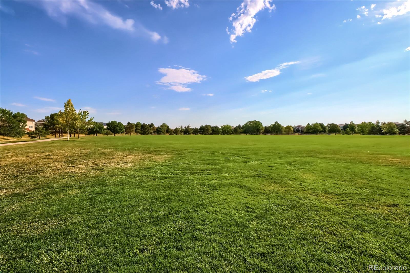 MLS Image #38 for 9791  bucknell court,highlands ranch, Colorado