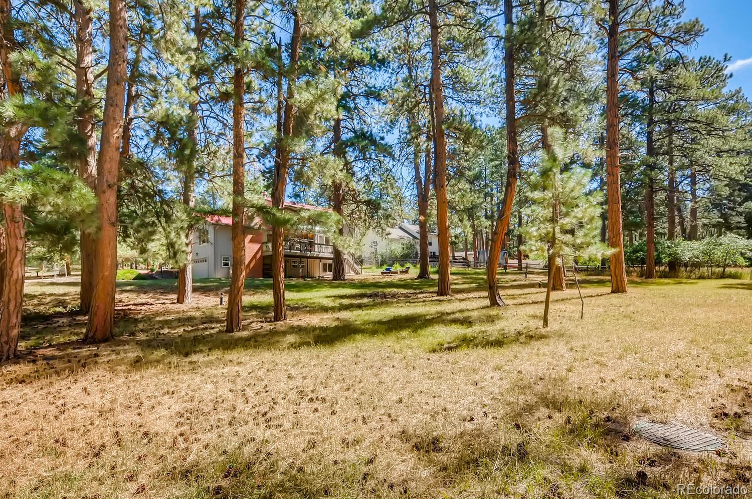 MLS Image #37 for 4930  red rock drive,larkspur, Colorado