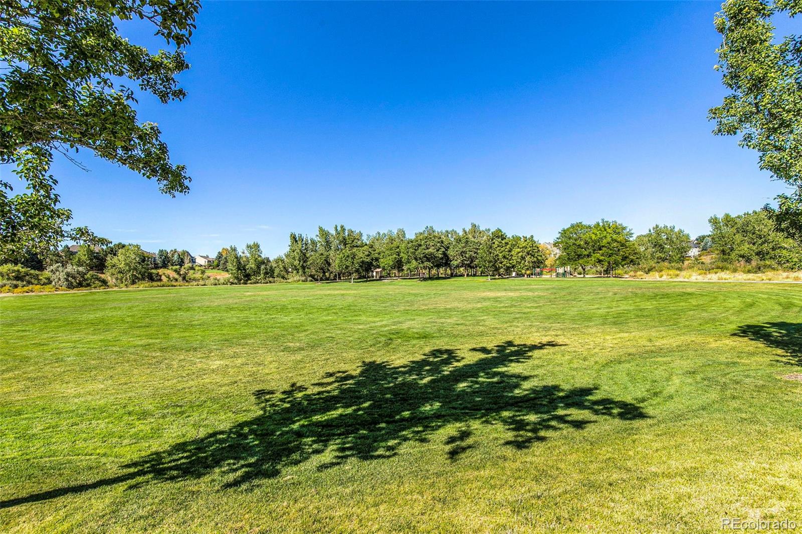 MLS Image #26 for 2264  gold dust trail,highlands ranch, Colorado