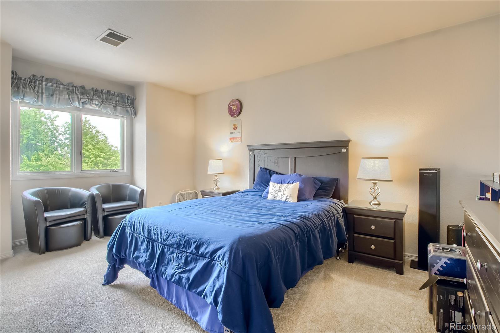 MLS Image #17 for 9137  buck hill drive,highlands ranch, Colorado