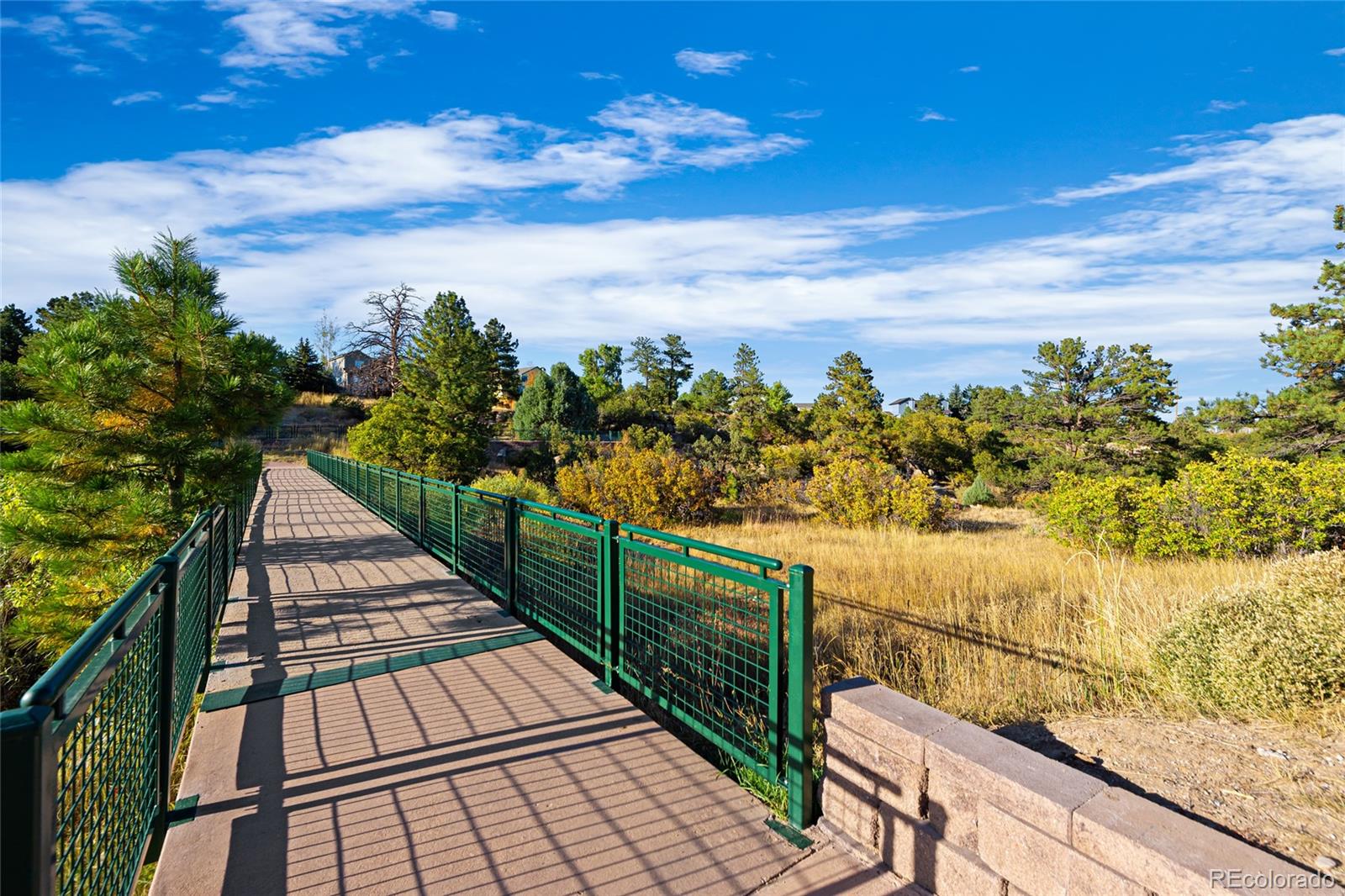 MLS Image #23 for 5596  canyon view drive ,castle rock, Colorado
