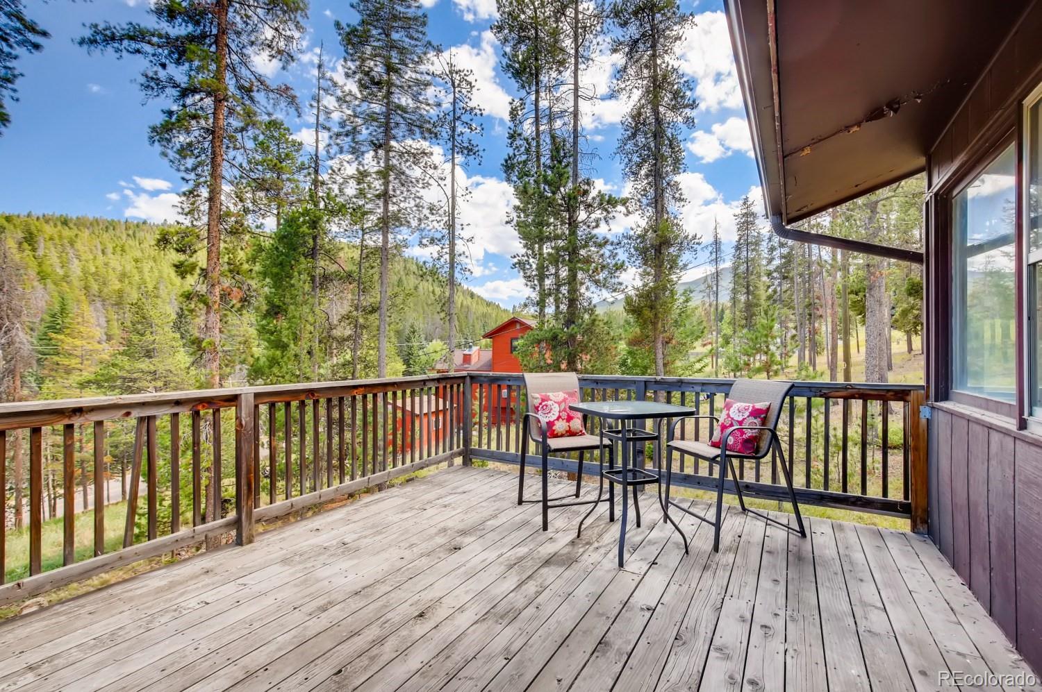 MLS Image #21 for 8247 s brook forest road,evergreen, Colorado
