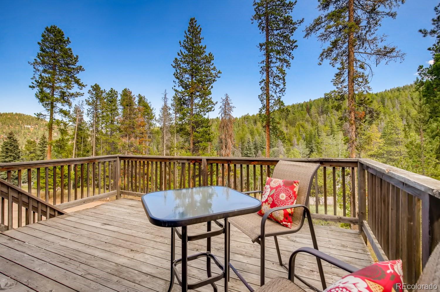MLS Image #22 for 8247 s brook forest road,evergreen, Colorado