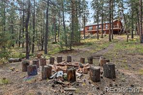 MLS Image #0 for 858  forest drive,bailey, Colorado