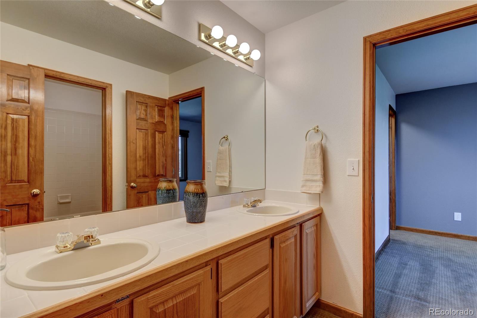 MLS Image #29 for 2533  cherryvale court,highlands ranch, Colorado