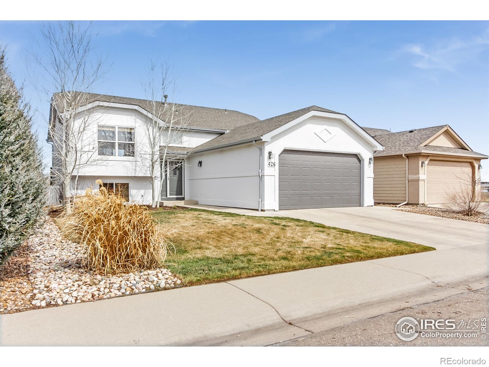 MLS Image #0 for 426  sorrel drive,windsor, Colorado