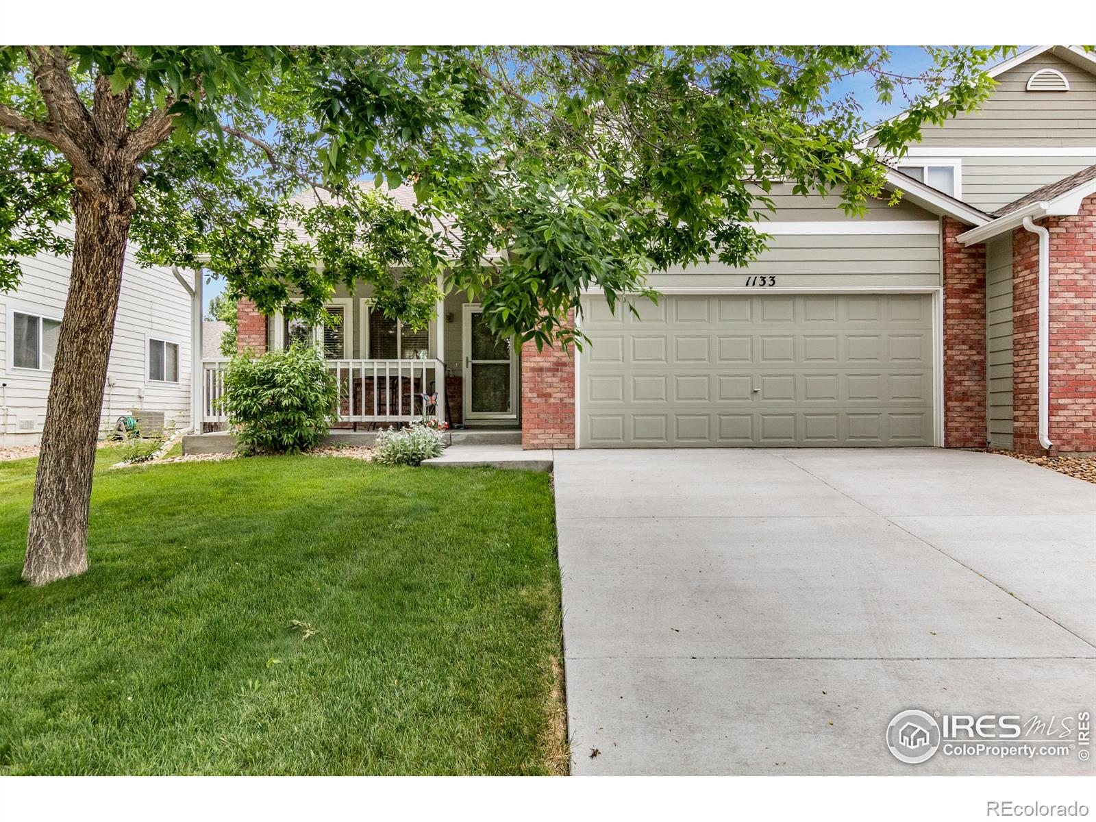 MLS Image #0 for 1133  lavender avenue,loveland, Colorado