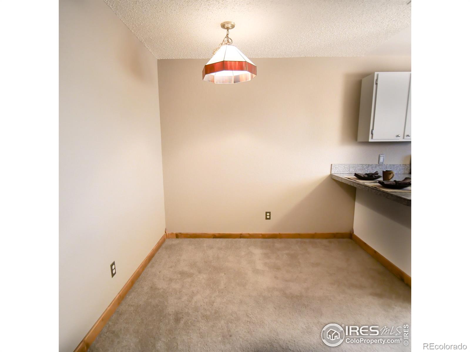 MLS Image #19 for 8654  decatur street,westminster, Colorado