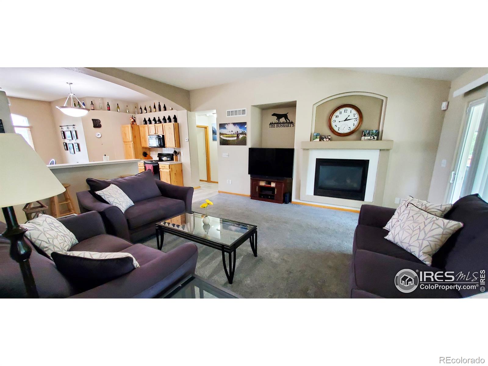 MLS Image #9 for 117  blue spruce drive,severance, Colorado