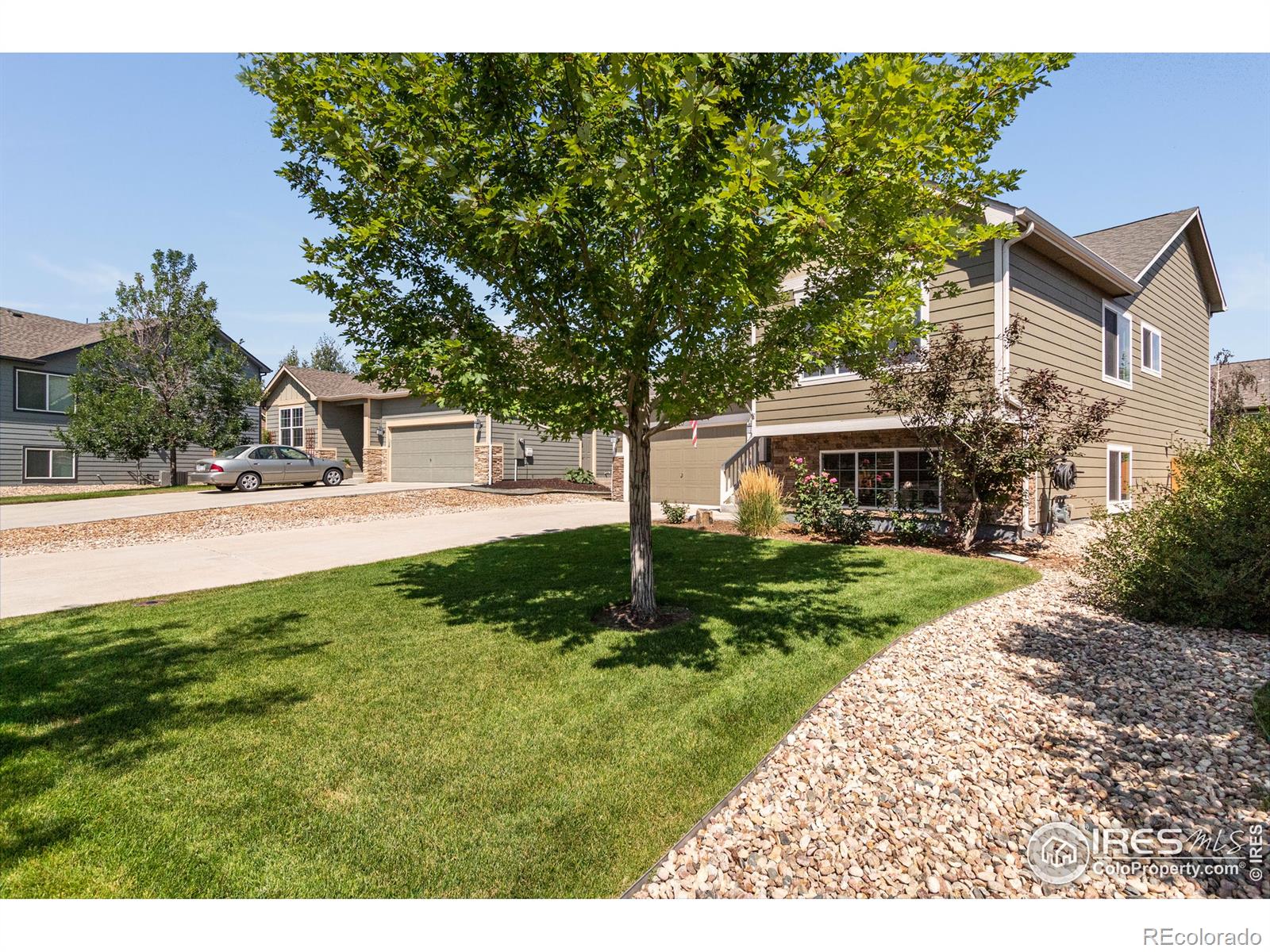 MLS Image #2 for 420  bow creek lane,fort collins, Colorado