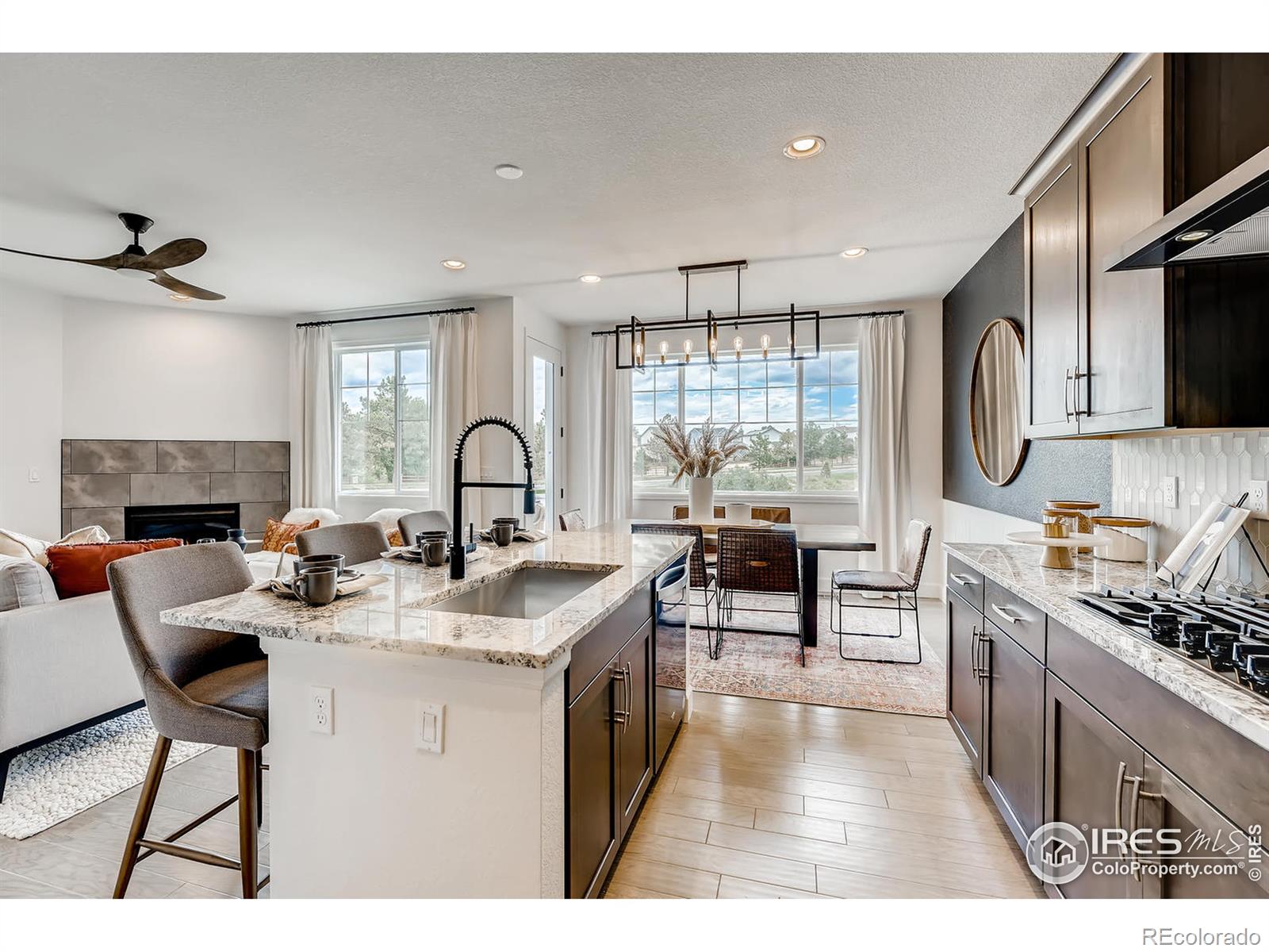 MLS Image #4 for 543  whisper wind lane,castle rock, Colorado