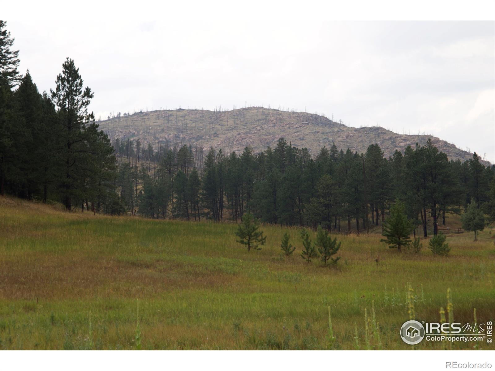 MLS Image #0 for 5959  stove prairie road,bellvue, Colorado