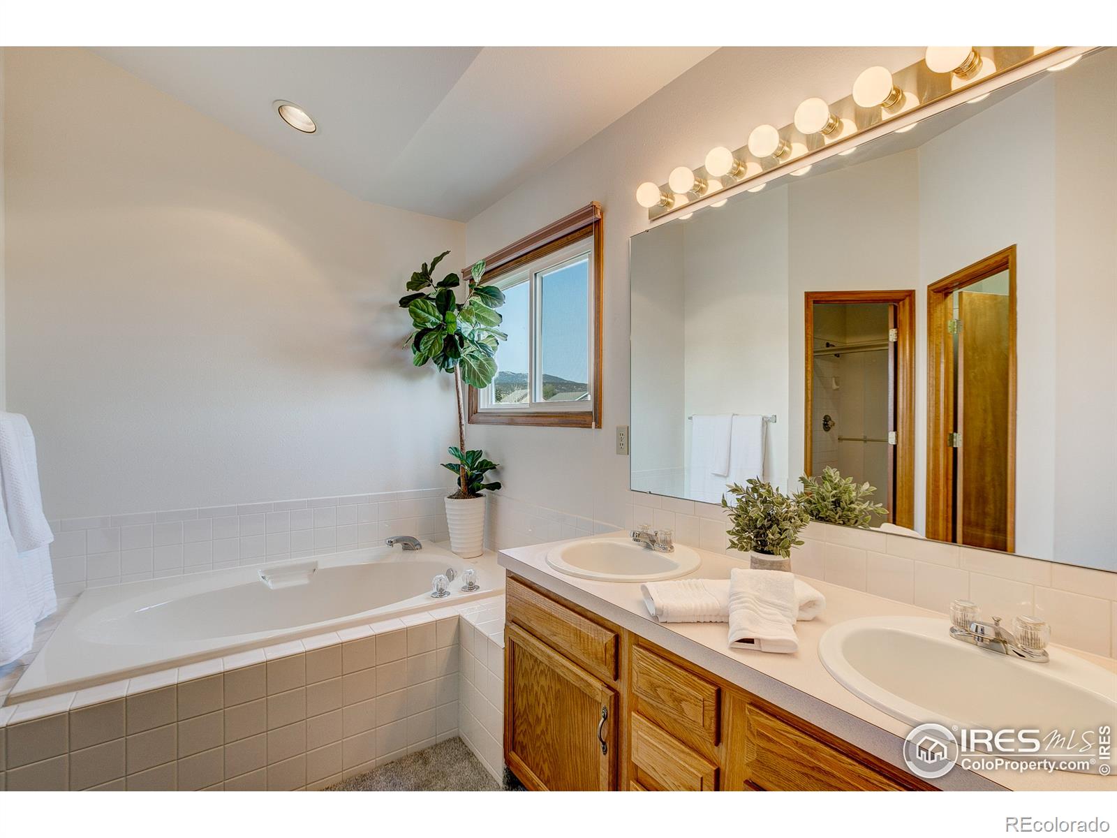 MLS Image #17 for 1914  silvergate road,fort collins, Colorado